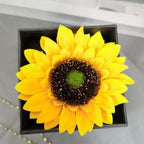 Colar Meu Raio de Sol + Caixa com Girassol - My Store