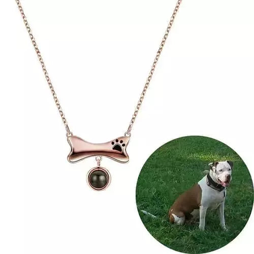 Colar Ossinho Pet - Foto Personalizável - My Store