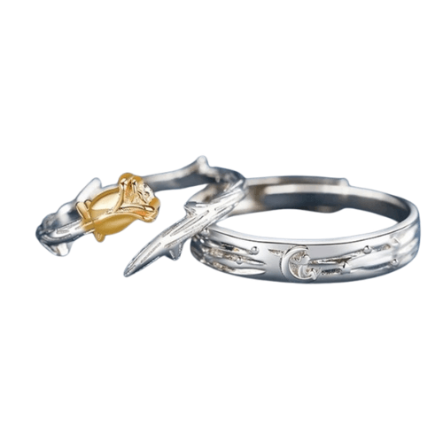 Par de alianças - Pequeno Princípe e a Rosa - My Store