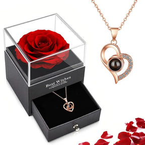 Conjunto Colar + Caixa - "Eu te amo" em 100 idiomas - My Store