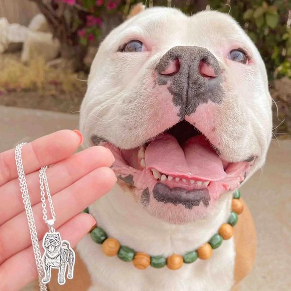 Colar Pet Lovers -  Foto Personalizável